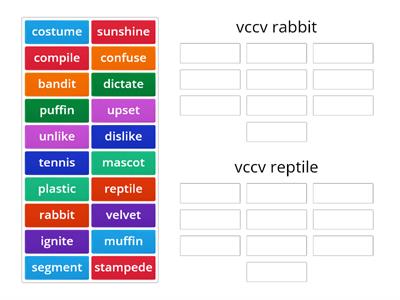 VCCV rabbit vs reptile words