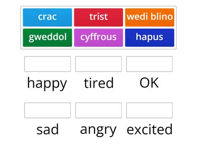 Feelings in Welsh 