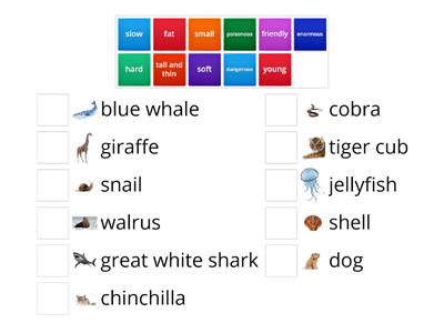 Animals - Adjectives