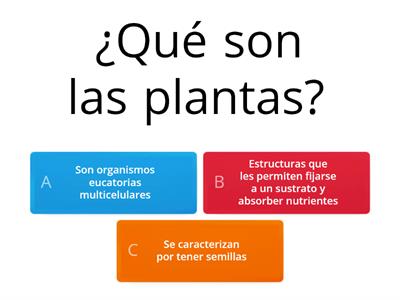 Las plantas 