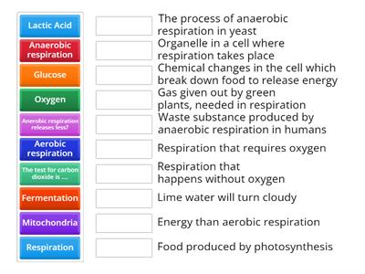 CAX KS4 Respiration (basic)