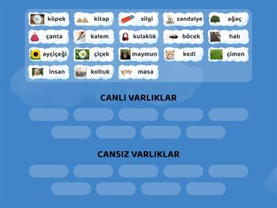 Palet Okulları - Canlı ve Cansız Varlıklar