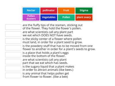 Power of Flowers Vocab 