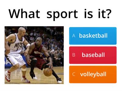 Hobbies and Sports