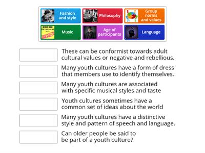 Characteristics of youth cultures