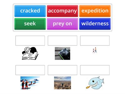 Match the vocabulary with the picture: