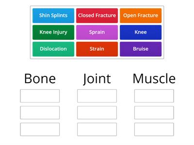 Types of Injury Match