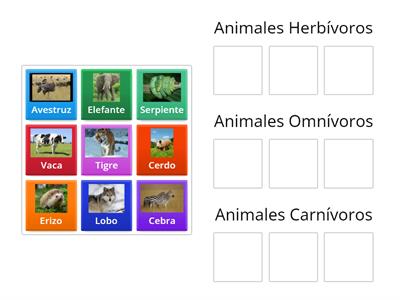 Animales herbívoros, carnívoros y omnívoros