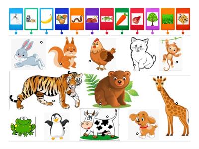 What animals eat (Preschool)