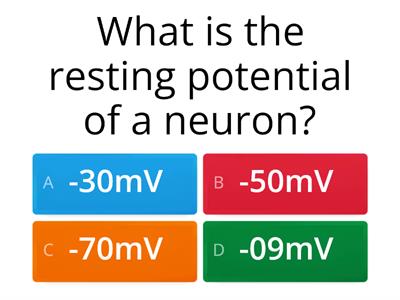 Neuron Action Potential