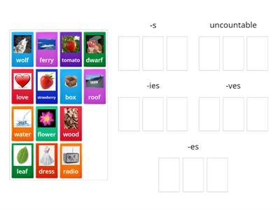 Plurals, uncountable and countable nouns