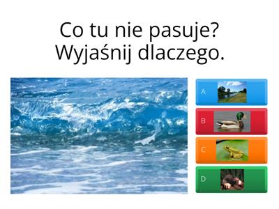 Co tu nie pasuje? sz ż cz dż