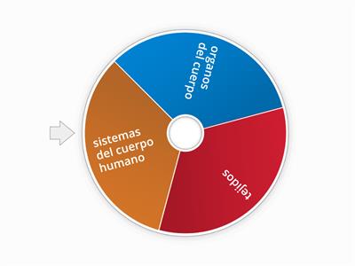 sistema del cuerpo humano