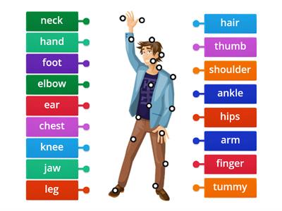  Englisch: The parts of the body