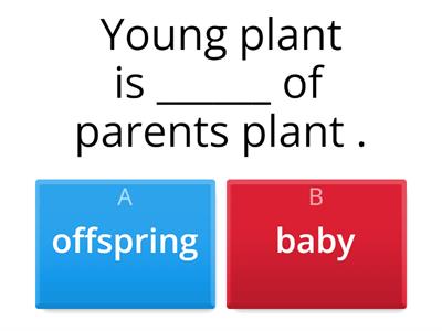 2D1 - Young and Parents Plants