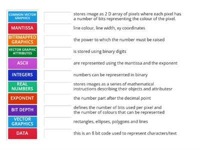 binary, real numbers,vector and bitmapped graphics