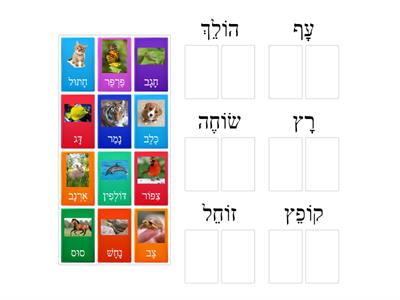 Hebrew verb animal game