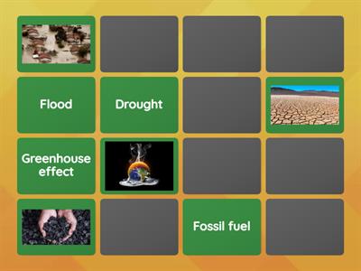 Climate change memory game