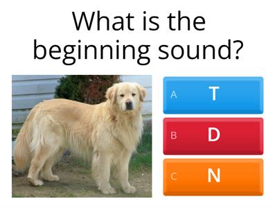 Beginning Sounds