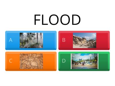 NATURAL DISASTERS - quiz