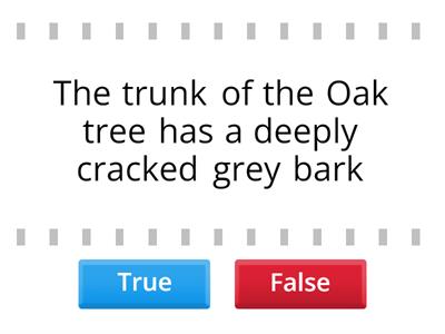 OAK Tree - Science 6.