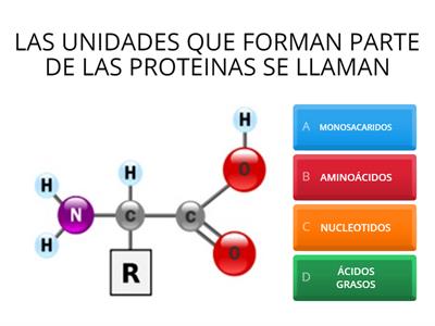 Proteinas