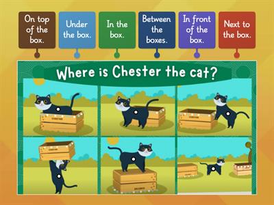 Prepositions of Place - Where is Chester?