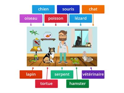 Les animaux de compagnie