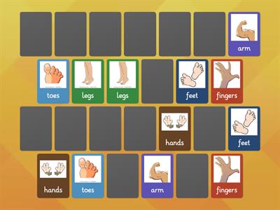 Body Parts-MEMORY GAME