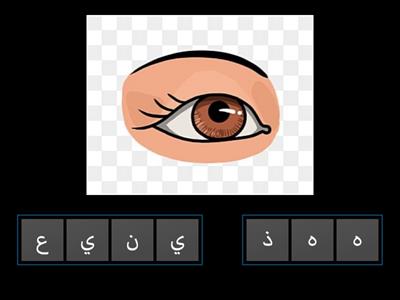 Move the Arabic letters to the correct position game