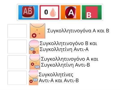 Ομάδες ΑΒΟ Συγκολλητινογόνα-συγκολλητίνες