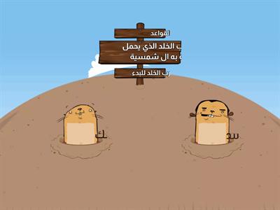 اللام الشمسية والقمرية  صف أول لغة عربية