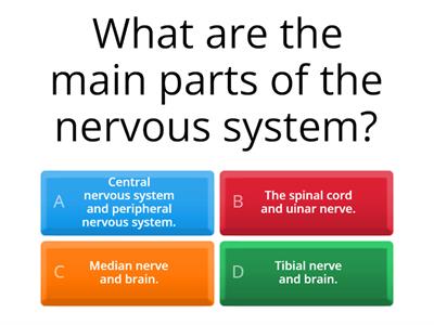 NERVOUS SYSTEM.