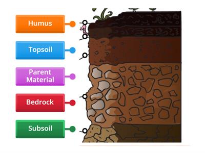  Layers of  the Soil 