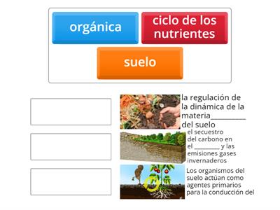 La biodiversidad del suelo