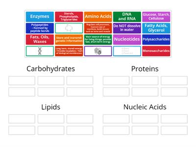 Macromolecules  & Enzymes
