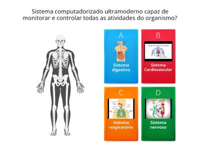 Sistema Nervoso