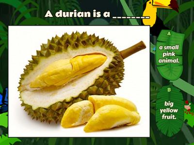 Academy Stars 1. Unit 10. Reading Durian text