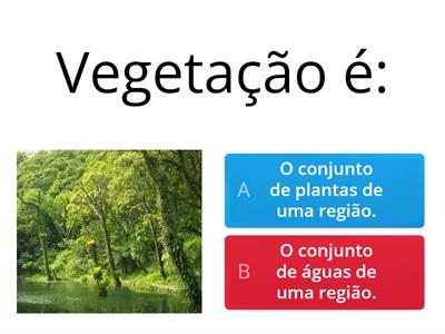 Vegetação brasileira