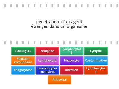  Défenses immunitaires 