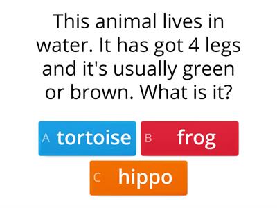 Animal quiz