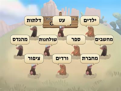 משחק עברית -יחיד רבים 
