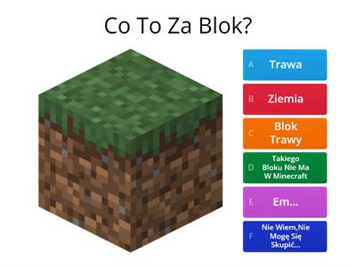 2 Quiz O Minecraft