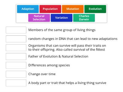 Evolution & Natural Selection