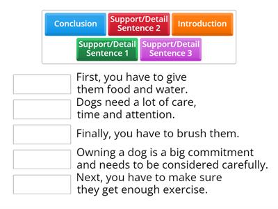 Paragraph sequencing Dog care