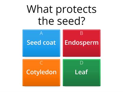 Seed Anatomy Quiz