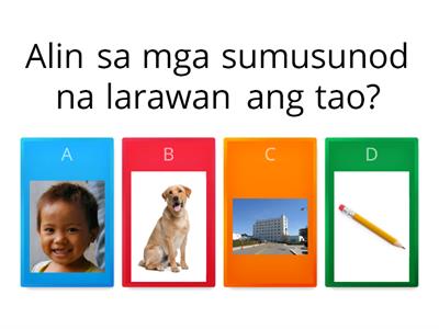 Makatutukoy ng opangalan ng tao, bagay, hayop o lugar sa pangungusap o larawan.