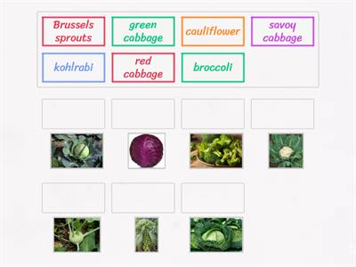 Unit 1.7 - Cabbage and Its Relatives