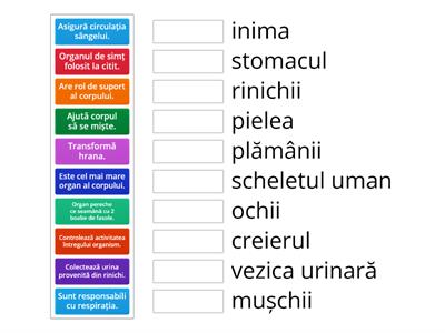 Corpul omenesc - Activitatea corpului uman