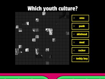Which youth culture?